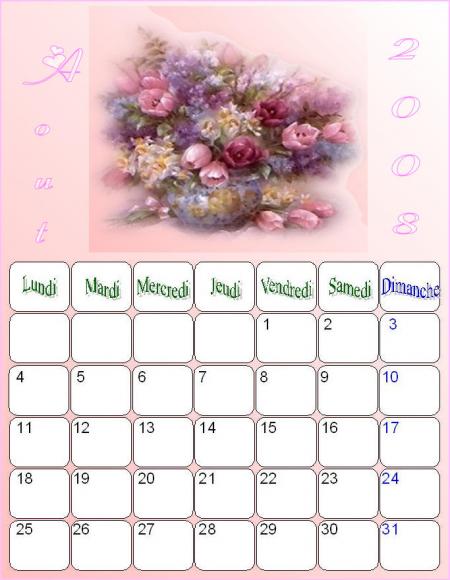Calendrier Août 2008 du net.