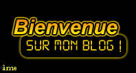 Bienvenue