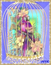 Avatar Perroquet