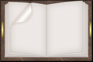Tube livre d' or
